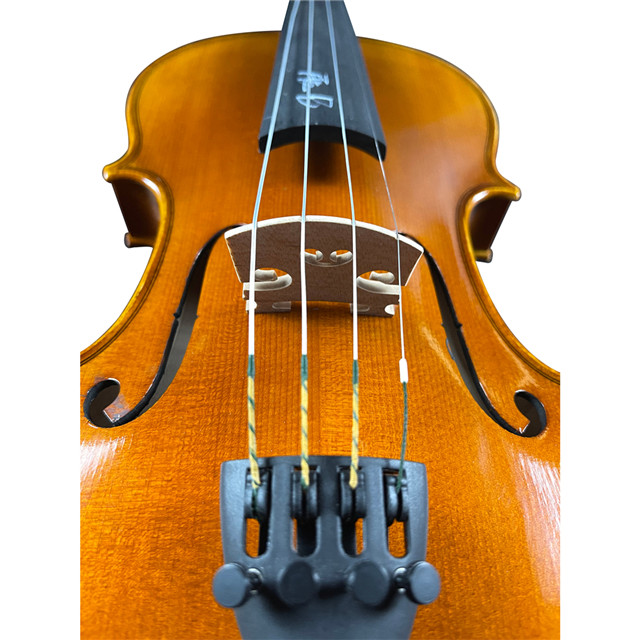 Best Violin Brands for Intermediate Players Buy violin strings