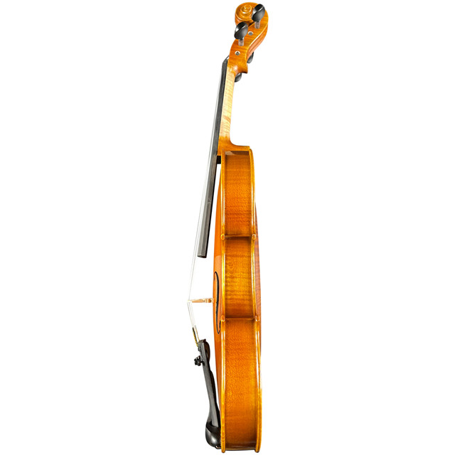 Best Violin Brands for Intermediate Players Buy violin strings