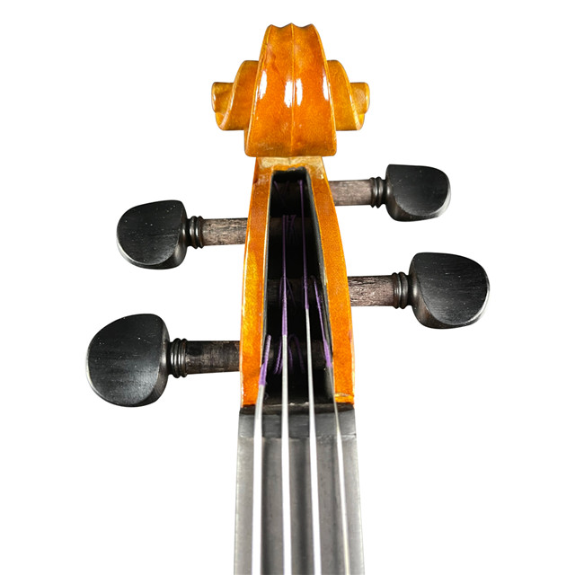 Best Violin Brands for Intermediate Players Buy violin strings